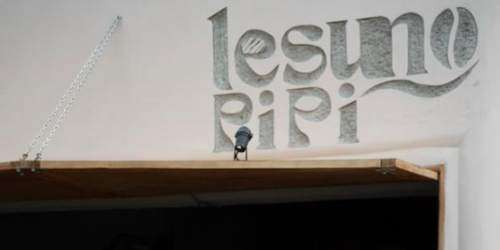 Lesung Pipi Coffee